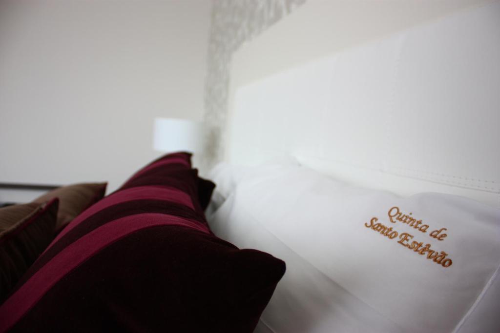 Quinta De Santo Estevao Hotel Rural Агиар да Бейра Екстериор снимка